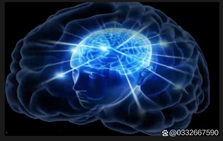 吃瓜群众一号